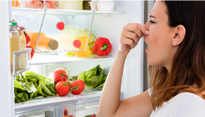 how to clean a smelly fridge rsl