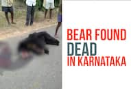 Karnataka: Bear found dead under mysterious circumstances on a road in Kolar