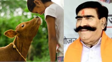 Cow killers worse than terrorists: Rajasthan BJP MLA Gyan Dev Ahuja