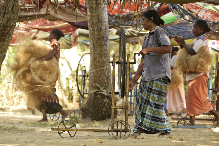 coir department implement a new project to improve coir production