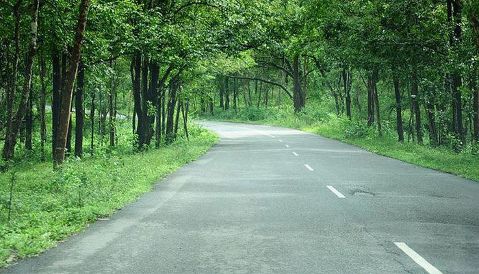 Bandipur in Danger NHAI to take up road widening work in Forest pod