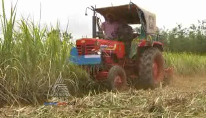 Bagalakote Angry farmer destroy Sugarcane crops