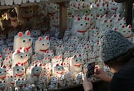 Tokyo's 'lucky cat' temple becomes most Instagrammable spot in city