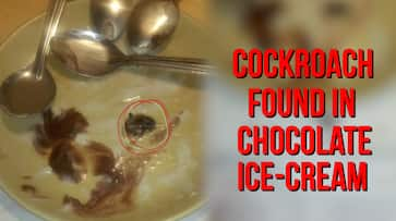 Karnataka: Cockroach served with ice cream in Bengaluru