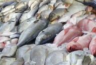 Goa government stop checking fish consignments State borders