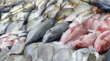 Goa government stop checking fish consignments State borders