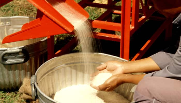 urea fertilizer in Anna Bhagya Rice Gadag