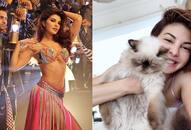 Happy Birthday Jacqueline Fernandez: Here's how the actress is celebrating her birthday