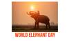 World Elephant Day: 6 things you must know about this annual event in celebration of the pachyderm