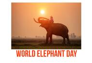 World Elephant Day