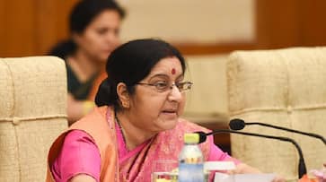 Sushma Swaraj 2+2 dialogue US India Nirmala Sitharaman Pompeo Mattis