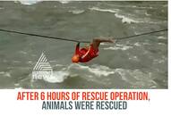 Kerala rains NDRF rescue operation people stranded dogs flood water Video Idukki disaster Pinarayi Vijayan