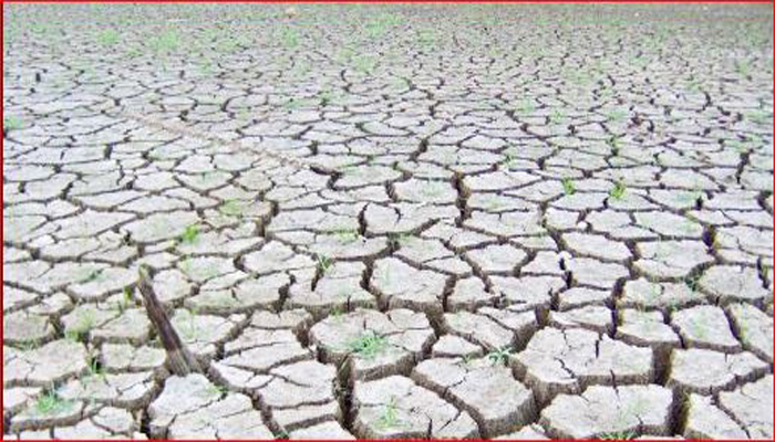 Krishna River Dried Up Due to Monsoon Rain Delayed at Athani in Belagavi grg 