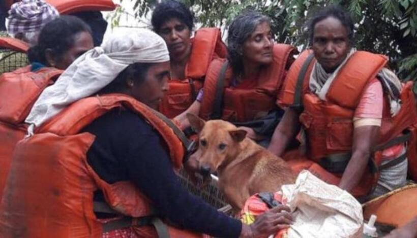 केरल में तबाही के बीच सामने आई इंसान के पालतू जानवरों से प्रेम की अनोखी मिसाल