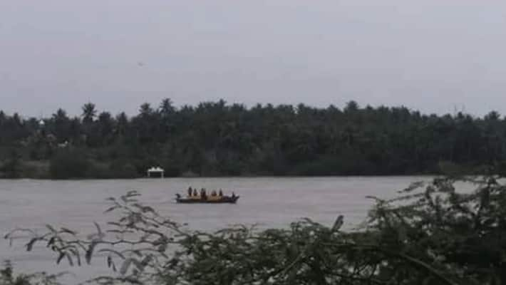 Cows without food in the middle of the Cauvery River .. After 3 days recovery!