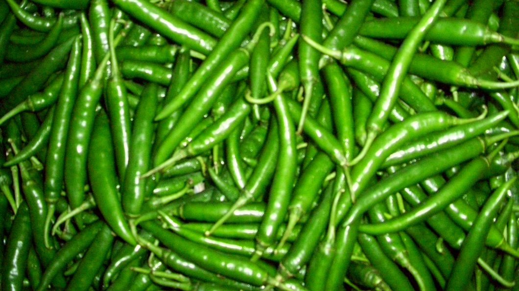 Belgavi farmer commits suicide as green chilly price falls down