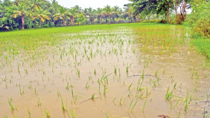 Farmers sad for drowned crops in water asking Compensation