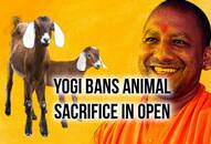 Bakrid 2018 Yogi Adityanath animal sacrifice Uttar Pradesh Sidharth Nath Singh