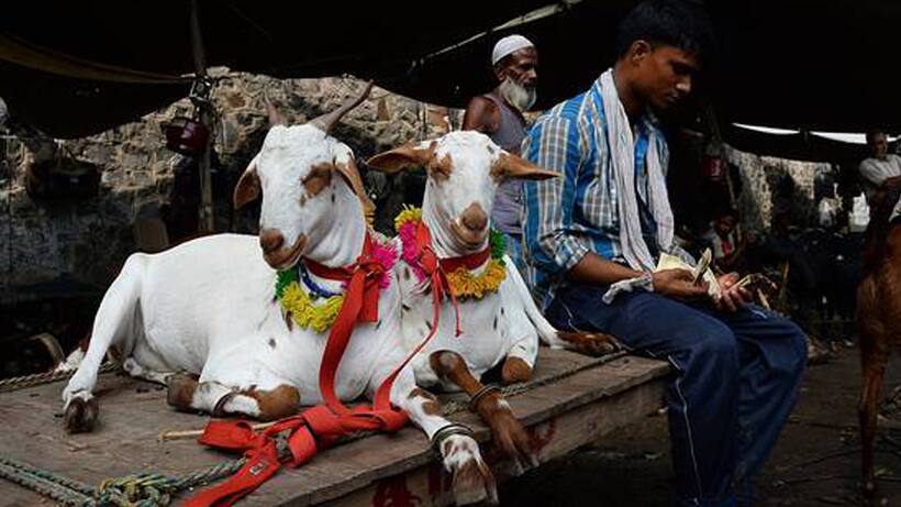 यूपी में ईद के लिए आया  बड़ा फरमान, खुले में नहीं होगी कुर्बानी