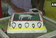 Bakrid Yogi Adityanath Lucknow goat cake Qurbani animal sacrifice