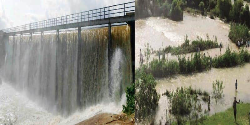 Paddy fields merged due to overflow of water in Bellary