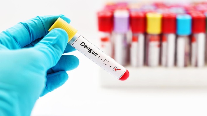 Dengue Symptoms preventive measures for deadly disease