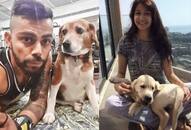 Kerala floods Anushka Sharma-Virat Kohli send relief materials for animals