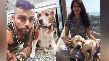 Kerala floods Anushka Sharma-Virat Kohli send relief materials for animals