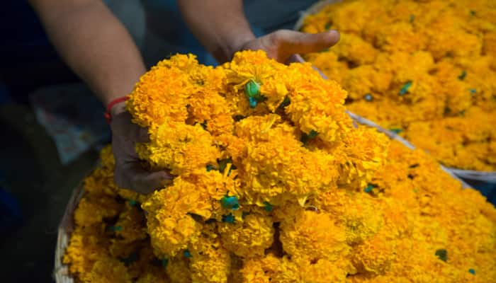 crisis faced by thovalai flower farmers in onam season due to floods in Kerala