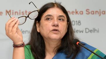 Maneka Gandhi Indian girl Spain foster parents abandoned Udaan adoption