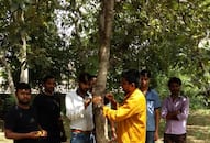 Rakshabandhan Youth keeps the trees tied