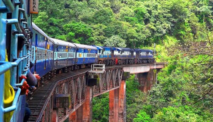 forest elephants entered railway track in nilgiris