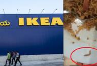 IKEA Hyderabad Veg biriyani Haldirams GHMC caterpillar Telangana