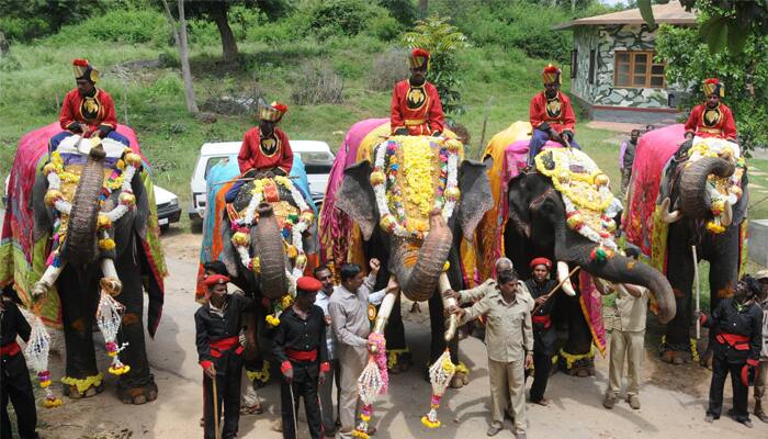 Mysuru Dasara: Jumbos get grand welcome at palace, Arjuna elephant to carry 'howdah'