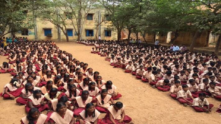 teacher drew upside down on the tree for save government schools