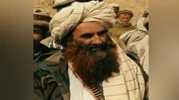 Haqqani network founder Jalaluddin Haqqani dead Taliban Zabihullah Mujahid