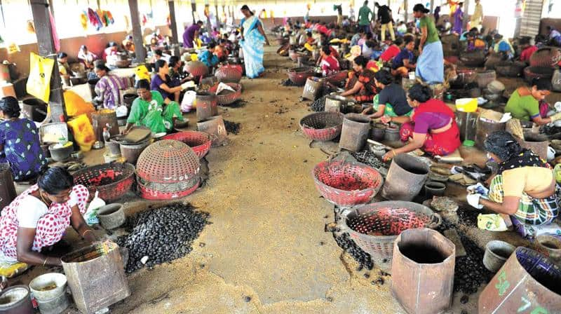 cashew sector in Kerala in major crisis because of moratorium plan failure