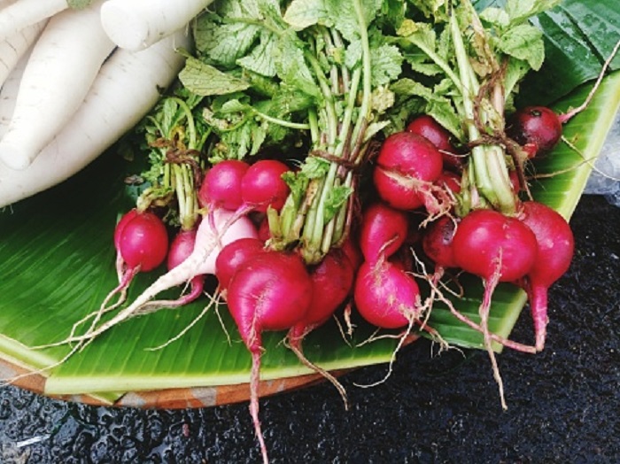 9 Health benefits of radish