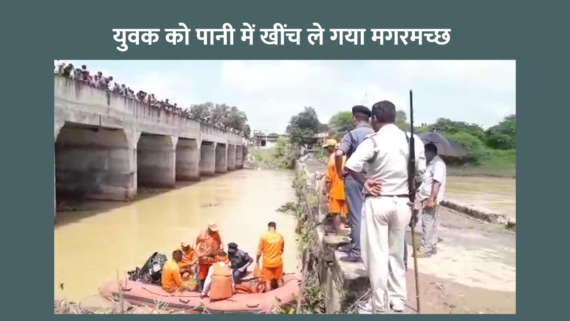 Crocodile victim in up