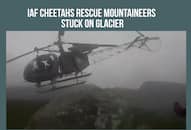 Watch: IAF Cheetahs brave odds to rescue trekkers stranded atop glacier