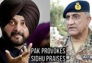 Pakistan avenge deaths at border Congress Sidhu positive intent letter Sushma