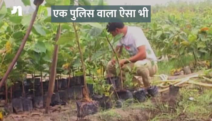 Policeman plantation Plantation from own salary nursery sonipat haryana