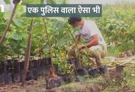 Policeman plantation Plantation from own salary nursery sonipat haryana