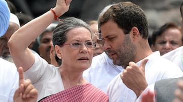 National Herald haunts Rahul Gandhi again: Delhi High Court rejects plea against I-T notice