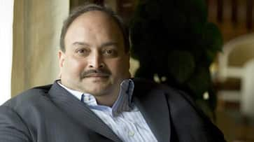 Mehul Choksi Punjab National Bank scam Money Laundering Act Nirav Modi