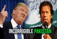 Pakistan China United States India aid grant Donald Trump