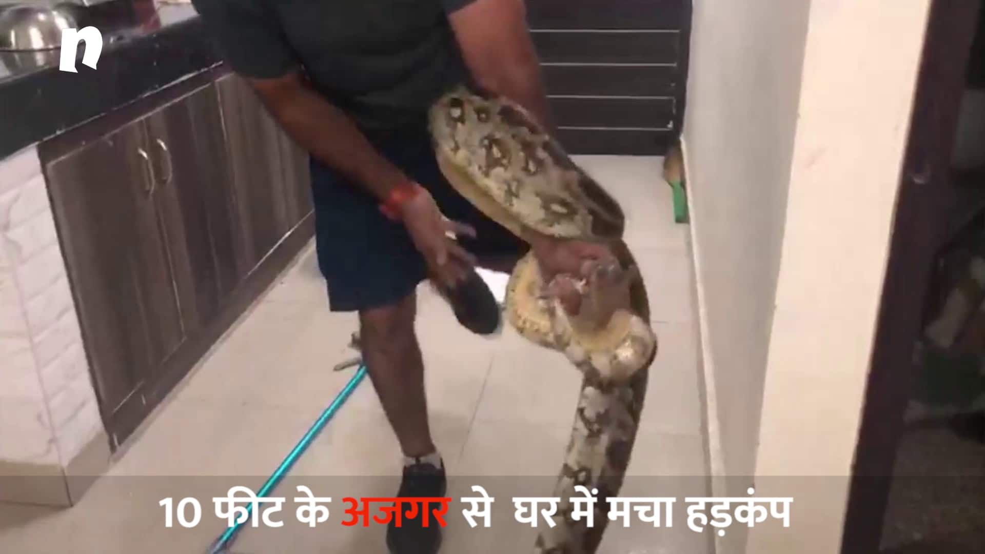 10 feet long python found in the posh area of Gururgram