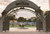 Dog Park Hyderabad Kennel Club