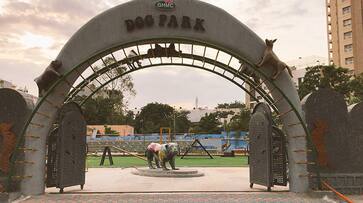 Dog Park Hyderabad Kennel Club