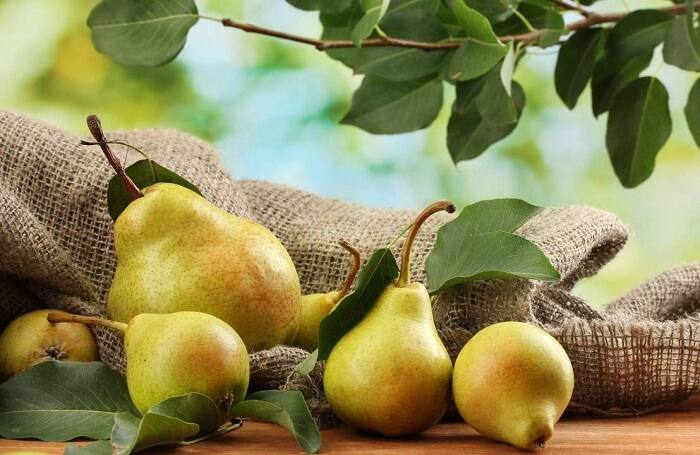 Health and Nutrition Benefits of Pears